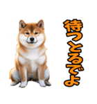 名古屋弁☆柴犬（個別スタンプ：30）