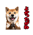 名古屋弁☆柴犬（個別スタンプ：32）