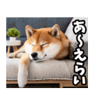 名古屋弁☆柴犬（個別スタンプ：33）