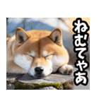 名古屋弁☆柴犬（個別スタンプ：39）