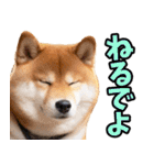 名古屋弁☆柴犬（個別スタンプ：40）