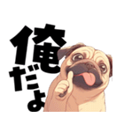 パグおじ（個別スタンプ：5）