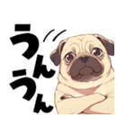 パグおじ（個別スタンプ：14）