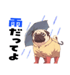パグおじ（個別スタンプ：39）