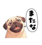 パグおじ（個別スタンプ：40）
