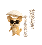 【毎年使える夏スタンプ】もちもちチワワ（個別スタンプ：1）