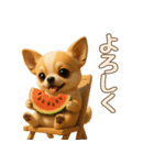 【毎年使える夏スタンプ】もちもちチワワ（個別スタンプ：7）
