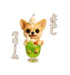 【毎年使える夏スタンプ】もちもちチワワ（個別スタンプ：8）