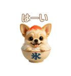 【毎年使える夏スタンプ】もちもちチワワ（個別スタンプ：9）