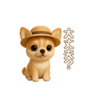 【毎年使える夏スタンプ】もちもちチワワ（個別スタンプ：11）