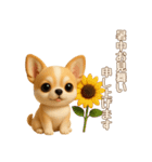 【毎年使える夏スタンプ】もちもちチワワ（個別スタンプ：12）
