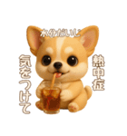 【毎年使える夏スタンプ】もちもちチワワ（個別スタンプ：20）