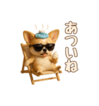 【毎年使える夏スタンプ】もちもちチワワ（個別スタンプ：24）