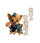 【毎年使える夏スタンプ】もちもちチワワ（個別スタンプ：29）