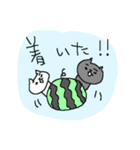 夏×ギャグ×猫（個別スタンプ：28）