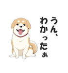 ワンちゃんの日常会話スタンプ【犬・いぬ】（個別スタンプ：3）