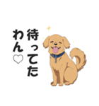ワンちゃんの日常会話スタンプ【犬・いぬ】（個別スタンプ：5）