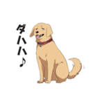 ワンちゃんの日常会話スタンプ【犬・いぬ】（個別スタンプ：9）