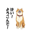 ワンちゃんの日常会話スタンプ【犬・いぬ】（個別スタンプ：10）