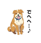 ワンちゃんの日常会話スタンプ【犬・いぬ】（個別スタンプ：11）