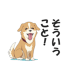 ワンちゃんの日常会話スタンプ【犬・いぬ】（個別スタンプ：13）