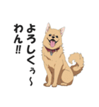 ワンちゃんの日常会話スタンプ【犬・いぬ】（個別スタンプ：14）