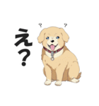 ワンちゃんの日常会話スタンプ【犬・いぬ】（個別スタンプ：17）
