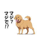 ワンちゃんの日常会話スタンプ【犬・いぬ】（個別スタンプ：20）