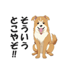 ワンちゃんの日常会話スタンプ【犬・いぬ】（個別スタンプ：24）