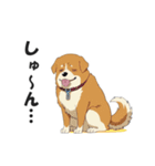 ワンちゃんの日常会話スタンプ【犬・いぬ】（個別スタンプ：26）
