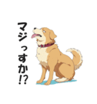 ワンちゃんの日常会話スタンプ【犬・いぬ】（個別スタンプ：31）