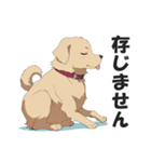 ワンちゃんの日常会話スタンプ【犬・いぬ】（個別スタンプ：34）