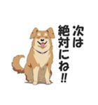 ワンちゃんの日常会話スタンプ【犬・いぬ】（個別スタンプ：35）