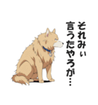 ワンちゃんの日常会話スタンプ【犬・いぬ】（個別スタンプ：36）