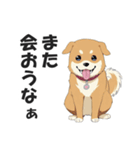 ワンちゃんの日常会話スタンプ【犬・いぬ】（個別スタンプ：37）