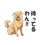 ワンちゃんの日常会話スタンプ【犬・いぬ】（個別スタンプ：38）