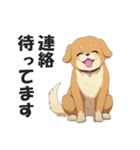 ワンちゃんの日常会話スタンプ【犬・いぬ】（個別スタンプ：39）