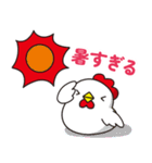 夏のニワトリさん (毎日使える敬語の挨拶)（個別スタンプ：13）