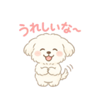 ふわもこマルチーズの感情スタンプ（個別スタンプ：3）