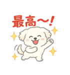 ふわもこマルチーズの感情スタンプ（個別スタンプ：4）
