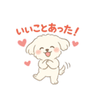 ふわもこマルチーズの感情スタンプ（個別スタンプ：5）
