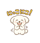 ふわもこマルチーズの感情スタンプ（個別スタンプ：6）