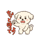 ふわもこマルチーズの感情スタンプ（個別スタンプ：15）