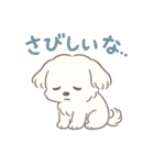 ふわもこマルチーズの感情スタンプ（個別スタンプ：22）