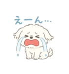 ふわもこマルチーズの感情スタンプ（個別スタンプ：23）