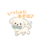 ふわもこマルチーズの感情スタンプ（個別スタンプ：26）