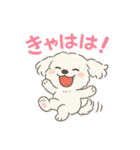 ふわもこマルチーズの感情スタンプ（個別スタンプ：27）