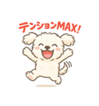 ふわもこマルチーズの感情スタンプ（個別スタンプ：28）