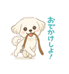 ふわもこマルチーズの感情スタンプ（個別スタンプ：32）