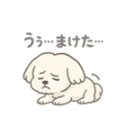 ふわもこマルチーズの感情スタンプ（個別スタンプ：36）